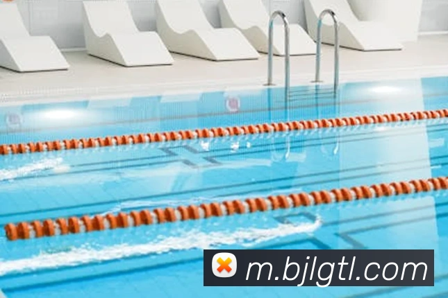 百家乐网站平台生态图