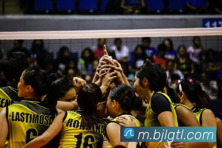 百家乐网站APP 封面图